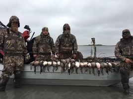 Airboat Duck Hunts