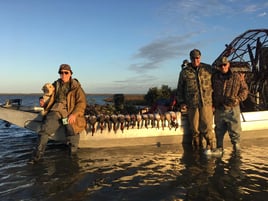 Airboat Duck Hunts