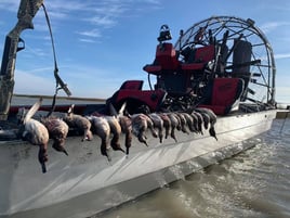 Airboat Duck Hunts