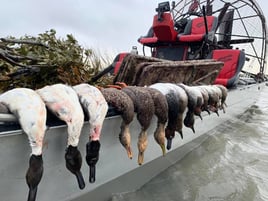 Airboat Duck Hunts