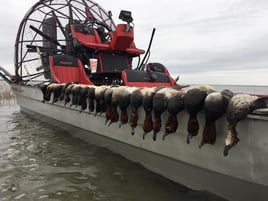 Airboat Duck Hunts