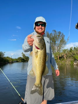 Bass/Sunset cruise