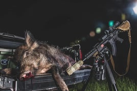 Thermal Hog Hunt Thrills