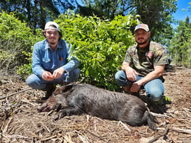 Thermal Hog Hunt Thrills