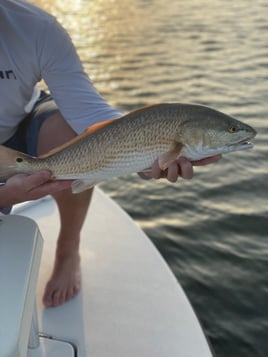 Fly Fishing East & West Matagorda Bay