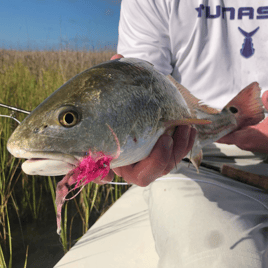 Fly Fishing East & West Matagorda Bay