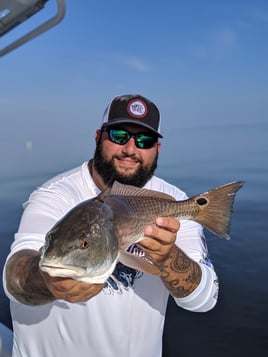 Tampa Bay Inshore Fishing