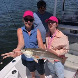 Tampa Bay Inshore Fishing