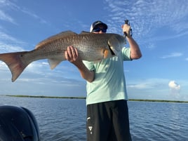 4 HR Inshore/Harbor/Jetties Fishing