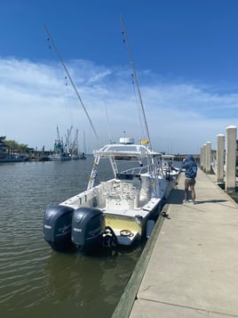 4 HR Inshore/Harbor/Jetties Fishing