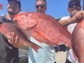 Snapper 6 Hr Am