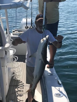 Nearshore Dauphin Island Adventure