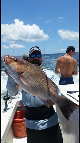 Dauphin Island Reefs and Rocks Trip