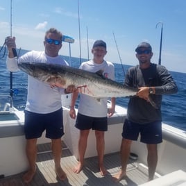 Nearshore Dauphin Island Adventure