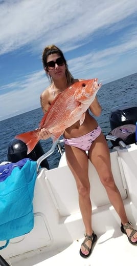 4-Hour Red Snapper Charter