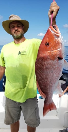 4-Hour Red Snapper Charter