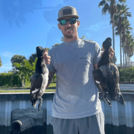 Duck Hunting Tampa Bay