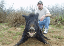 South Texas Hog Haul