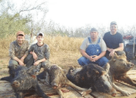 South Texas Hog Haul