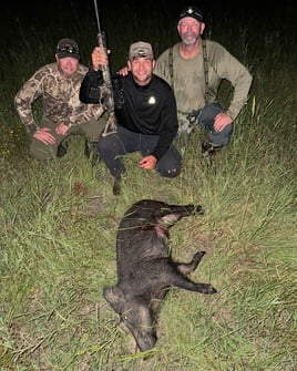 Hog Fishing in Palestine, Texas