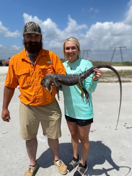 Iguana Hunting in Plantation, Florida