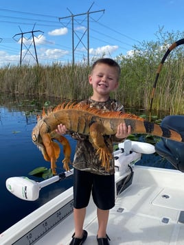 Iguana Hunting in Plantation, Florida