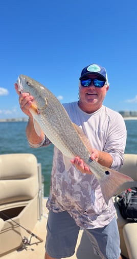 Redfish Fishing in Orange Beach, Alabama