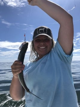 Nearshore Sportfish Roundup