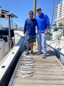 Nearshore Sportfish Roundup