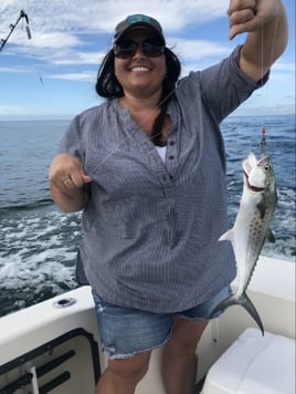 Nearshore Sportfish Roundup