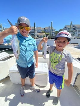 Nearshore Sportfish Roundup