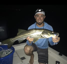 Nighttime Snapper, Snook, and Tarpon