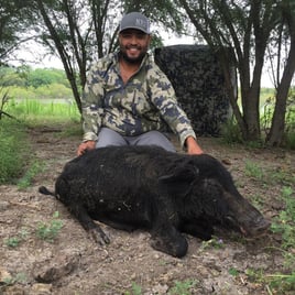 Hog Fishing in Carrizo Springs, Texas