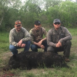 Hog Fishing in Carrizo Springs, Texas