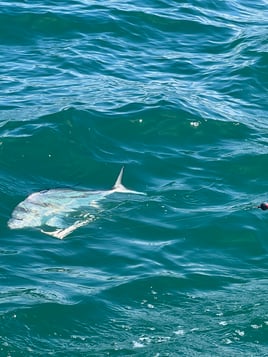 Atrapasueños Sportfishing Costa Rica