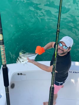 9 Hour Atrapasueños Sportfishing