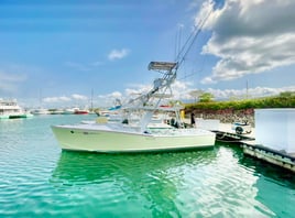 9 Hour Atrapasueños Sportfishing