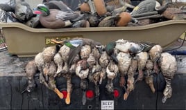 Freeport Fowl Hunts