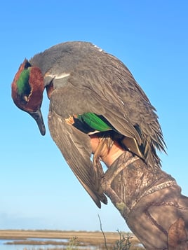 Freeport Fowl Hunts