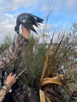 Freeport Fowl Hunts