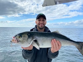 Cape Cod Bay Bass and Bluefish trip