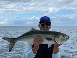 Cape Cod Bay Bass and Bluefish trip