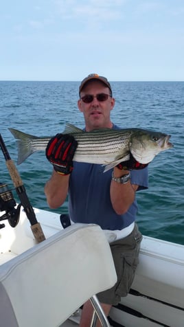 Cape Cod Bay Bass and Bluefish trip