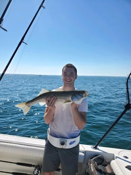 Cape Cod Bay Bass and Bluefish trip