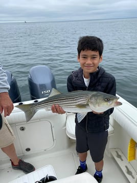 Cape Cod Bay Bass and Bluefish trip