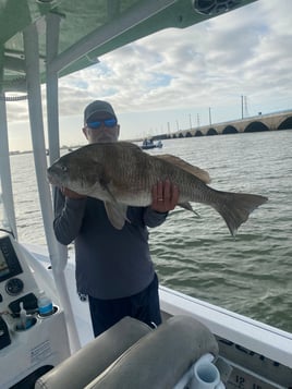 Port Aransas inshore adventure