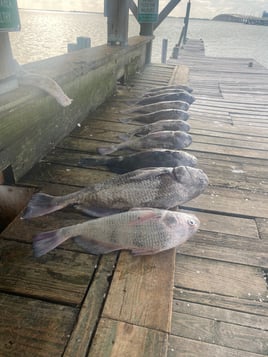 Port Aransas inshore adventure