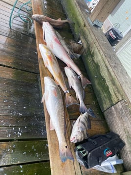 Port Aransas inshore adventure