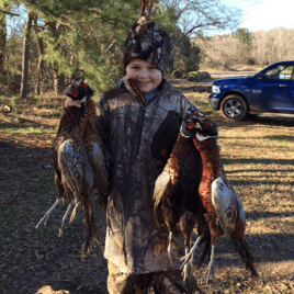 Pheasant Frenzy!