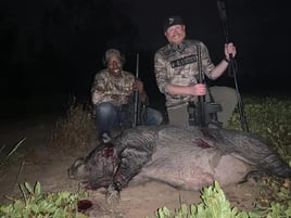 Night Vision Hog Hunts